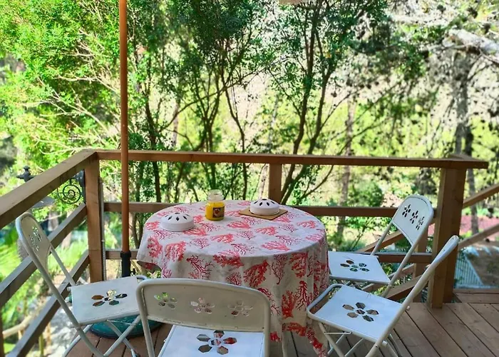 Wild Wild Nest Sperlongaresort